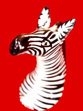Zebra Fridge Magnet