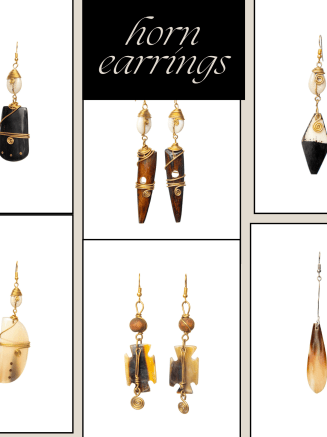 Assorted Horn Earrings
