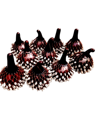 Cowrie Shell Gourd Shakers
